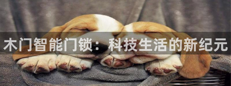 开丰娱乐平台官网登录：木门智能门锁：科技生活的新纪元